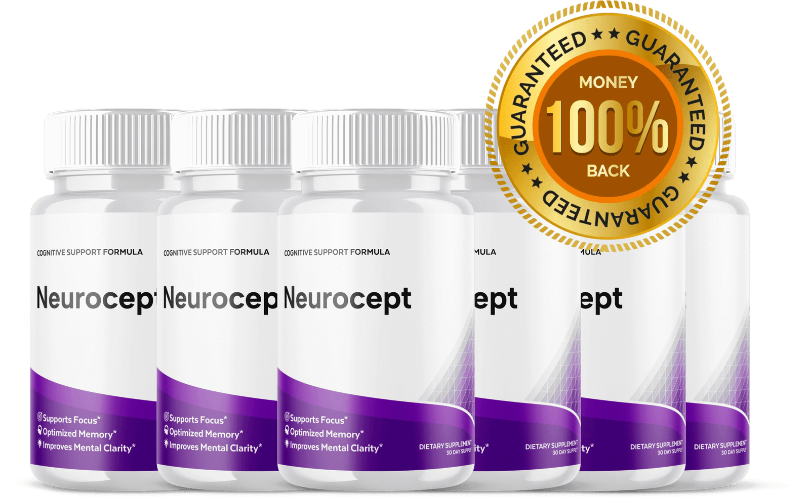 Neurocept Package